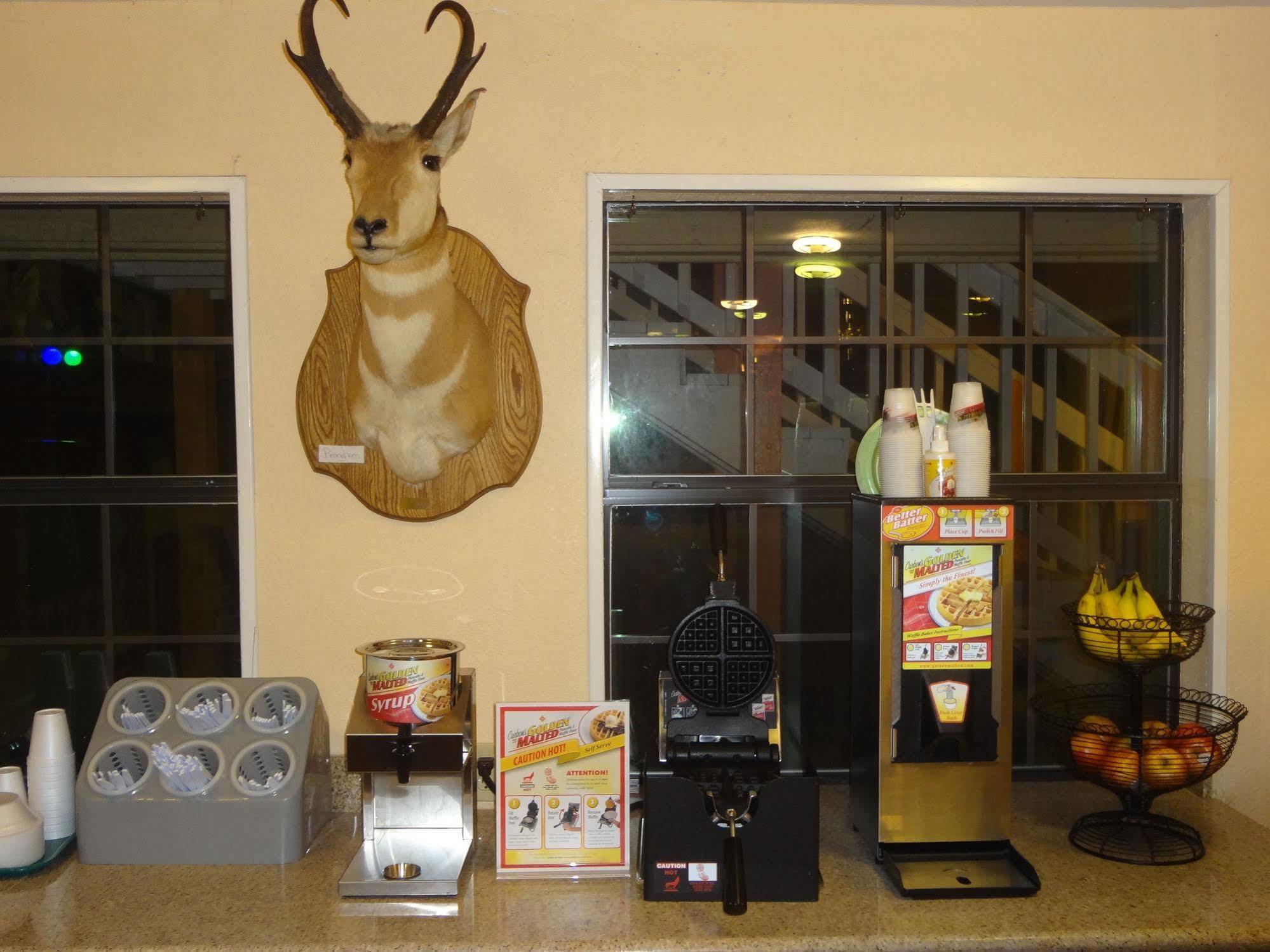 Antlers Inn Goliad Zewnętrze zdjęcie